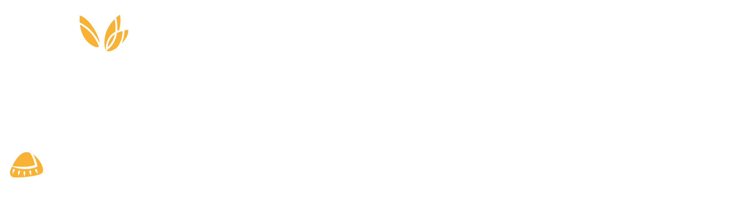 dark logo