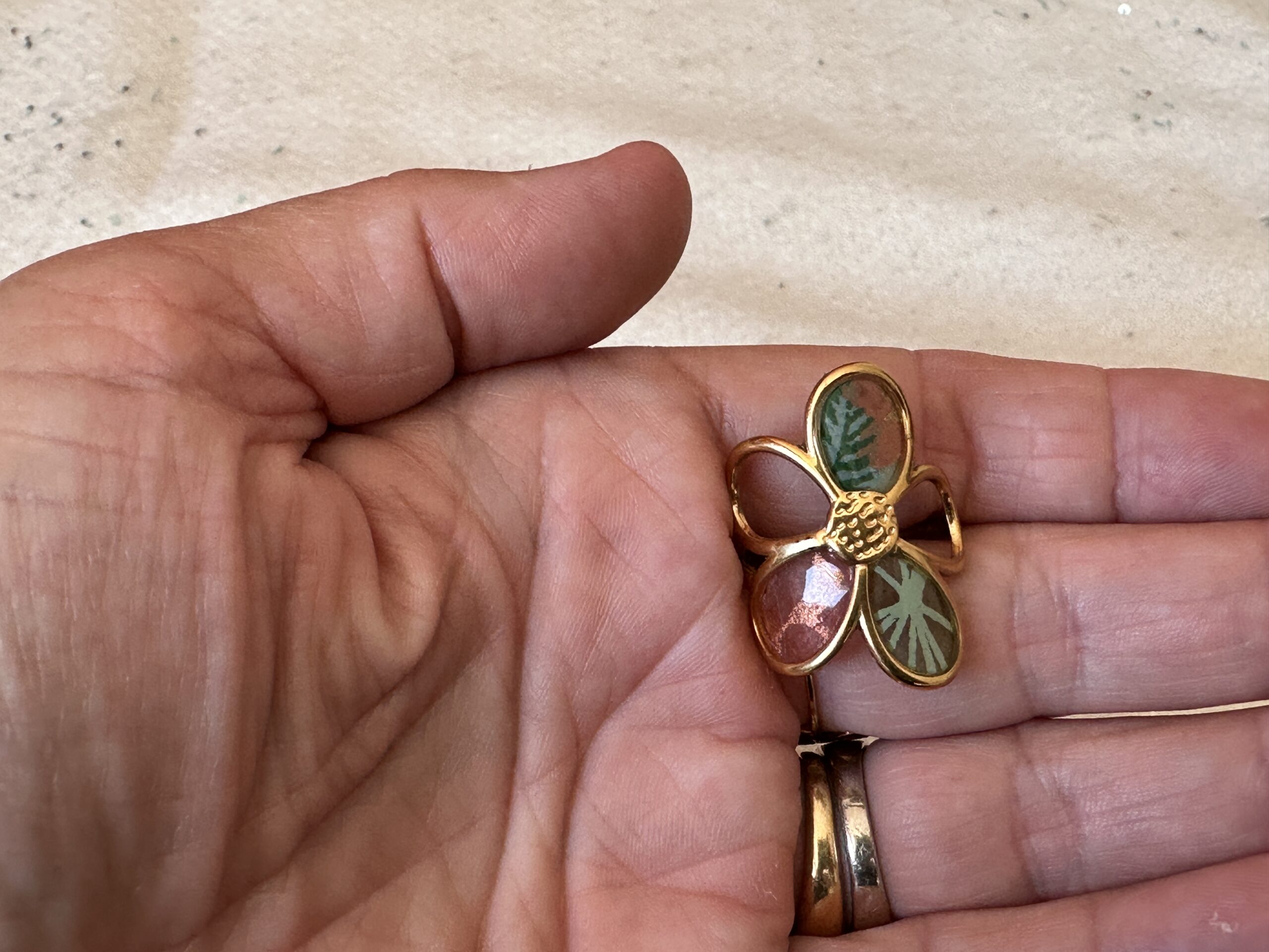 IMG_5341